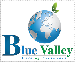 logo-web2-2
